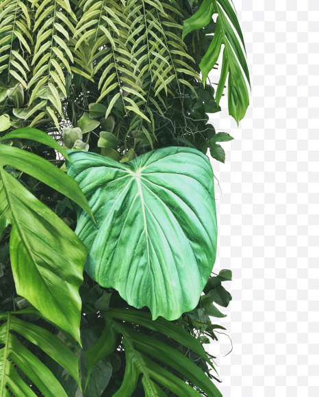 d lowercase from Vertical Garden Font on Yellow Images Creative Fonts - S49440