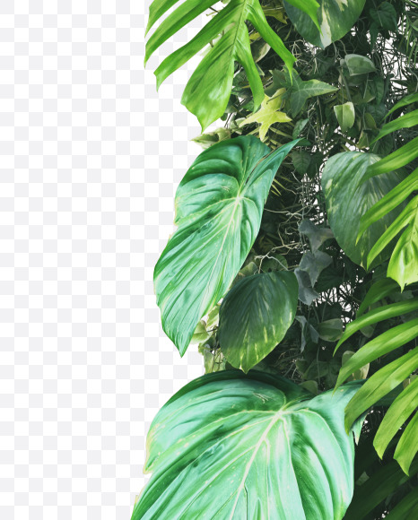 k lowercase from Vertical Garden Font on Yellow Images Creative Fonts - S49447