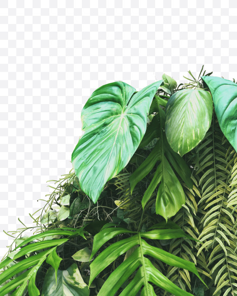 4 from Vertical Garden Font on Yellow Images Creative Fonts - S49467