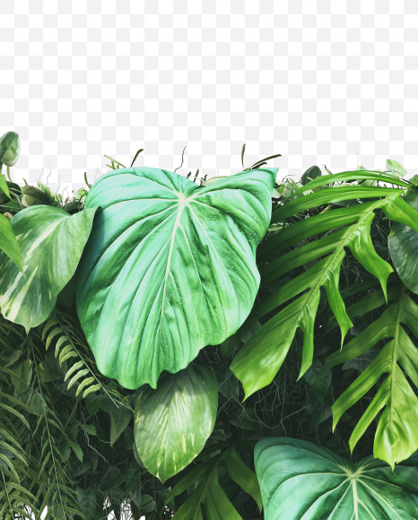 7 from Vertical Garden Font on Yellow Images Creative Fonts - S49470