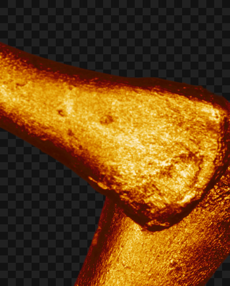 2 from Golden bones alphabet on Yellow Images Creative Fonts - S49583