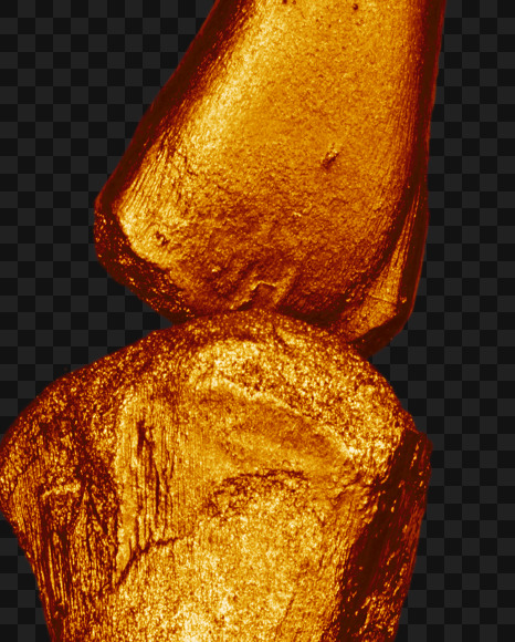 Letter w from Golden bones alphabet on Yellow Images Creative Fonts - S49578