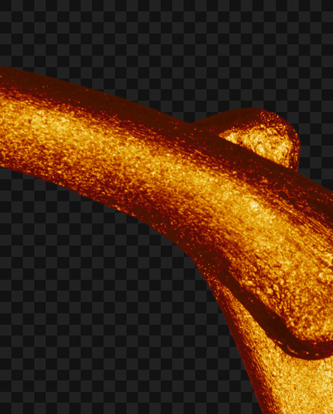 6 from Golden bones alphabet on Yellow Images Creative Fonts - S49587