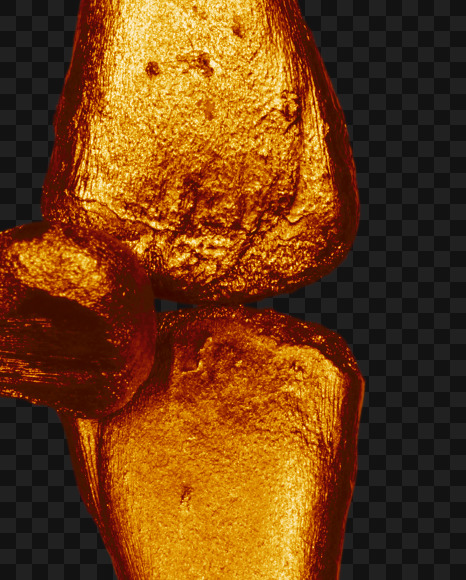 Letter h from Golden bones alphabet on Yellow Images Creative Fonts - S49563