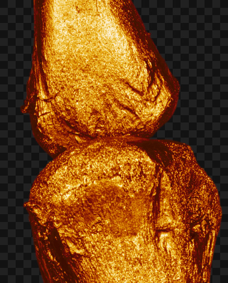 Letter v from Golden bones alphabet on Yellow Images Creative Fonts - S49577