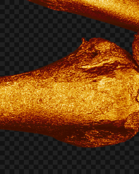 Letter q from Golden bones alphabet on Yellow Images Creative Fonts - S49572