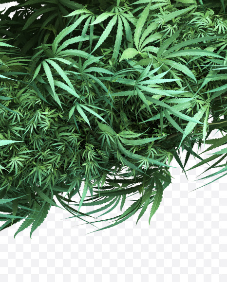 cannabis_lowercase_2_e from Cannabis Font on Yellow Images Creative Fonts - S49635