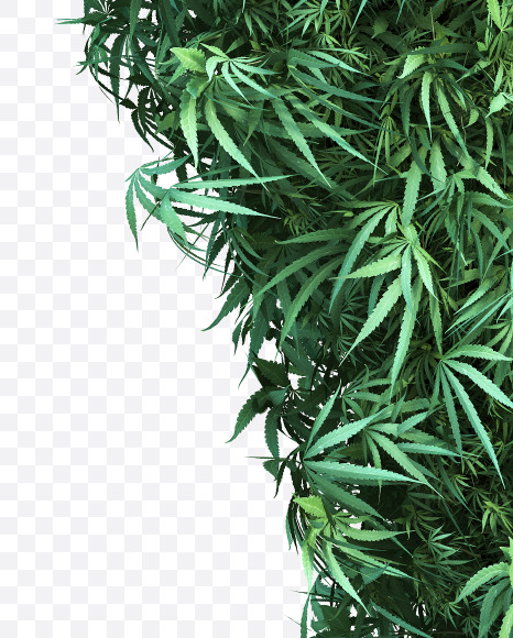 cannabis_lowercase_2_y from Cannabis Font on Yellow Images Creative Fonts - S49655