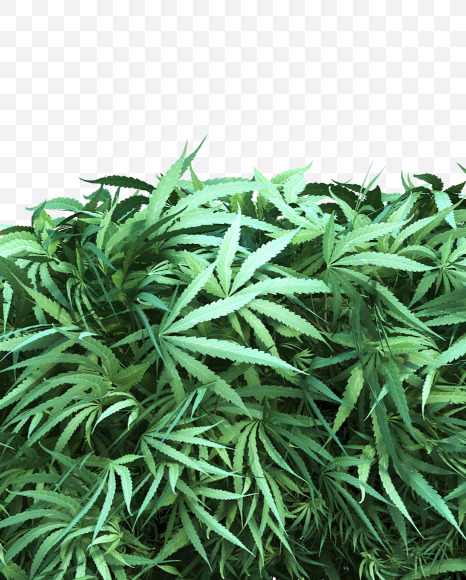 cannabis_lowercase_2_n from Cannabis Font on Yellow Images Creative Fonts - S49644