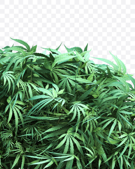 cannabis_lowercase_2_m from Cannabis Font on Yellow Images Creative Fonts - S49643