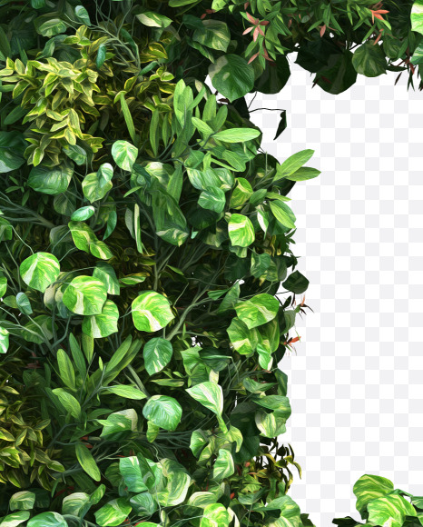 green_plant_B from Vertical Garden Font Set 2 on Yellow Images Creative Fonts - S49732