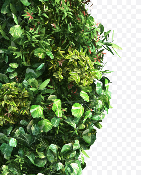 green_plant_05 from Vertical Garden Font Set 2 on Yellow Images Creative Fonts - S49726