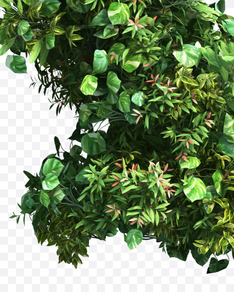 green_plant_K from Vertical Garden Font Set 2 on Yellow Images Creative Fonts - S49741