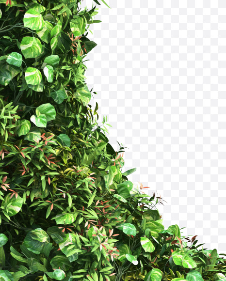 green_plant_C from Vertical Garden Font Set 2 on Yellow Images Creative Fonts - S49733