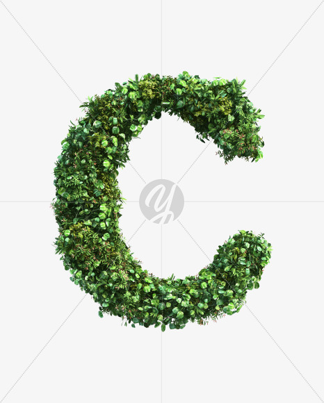 green_plant_C