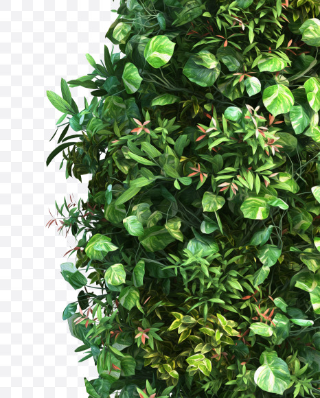 green_plant_09 from Vertical Garden Font Set 2 on Yellow Images Creative Fonts - S49730