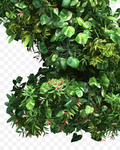 green_plant_X from Vertical Garden Font Set 2 on Yellow Images Creative Fonts - S49780