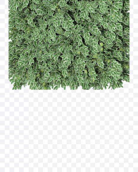 Letter I from Boxwood silver hedge fonts on Yellow Images Creative Fonts - S49877