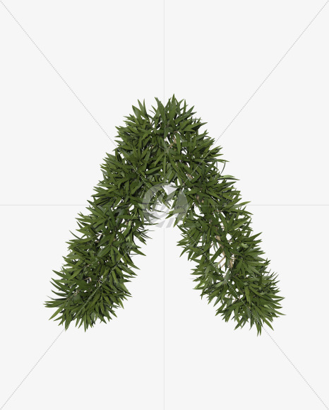 ^
