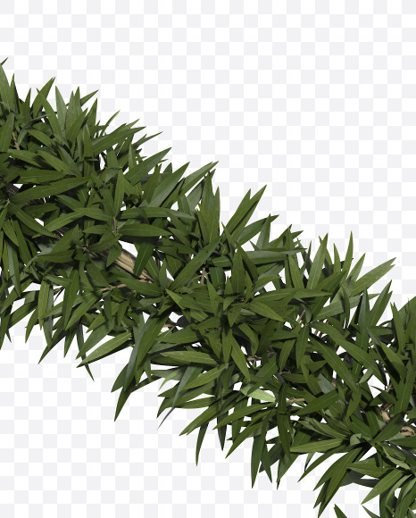 from Sharp pointed shrub alphabet on Yellow Images Creative Fonts - S49942