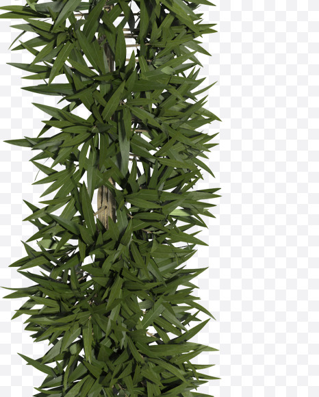 Lowercase-m from Sharp pointed shrub alphabet on Yellow Images Creative Fonts - S49912