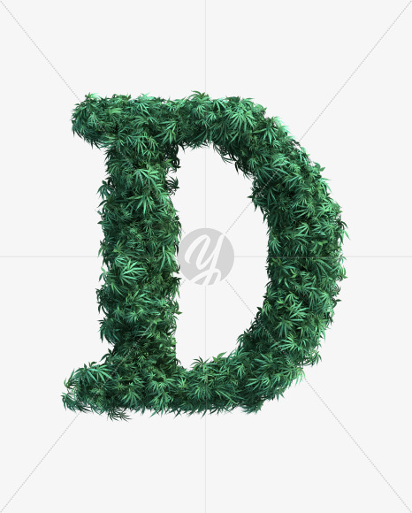 D uppercase