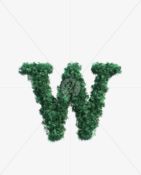 W uppercase