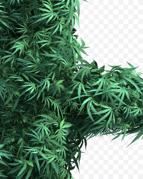 t lowercase from Cannabis Font Set 2 on Yellow Images Creative Fonts - S50017