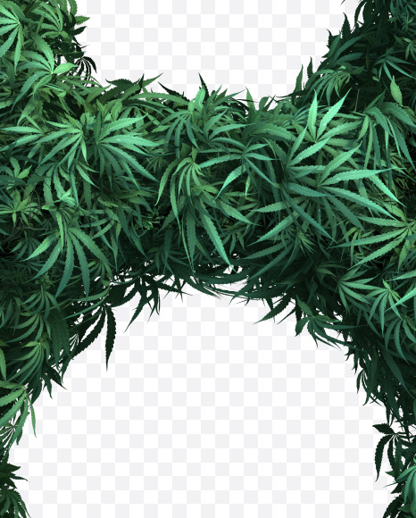 8 from Cannabis Font Set 2 on Yellow Images Creative Fonts - S49984