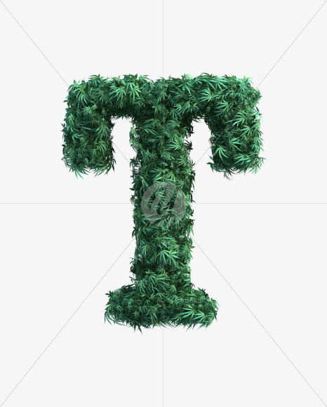 T uppercase