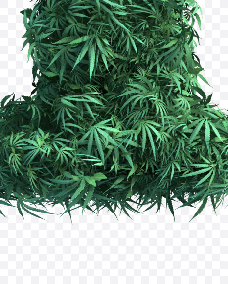 Y uppercase from Cannabis Font Set 2 on Yellow Images Creative Fonts - S50036