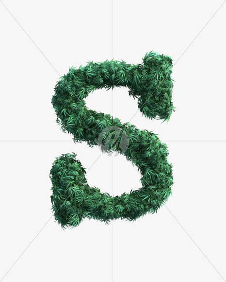 S uppercase