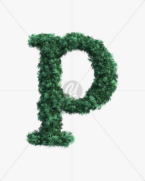 p lowercase