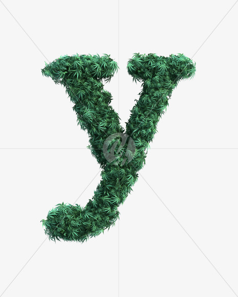 y lowercase