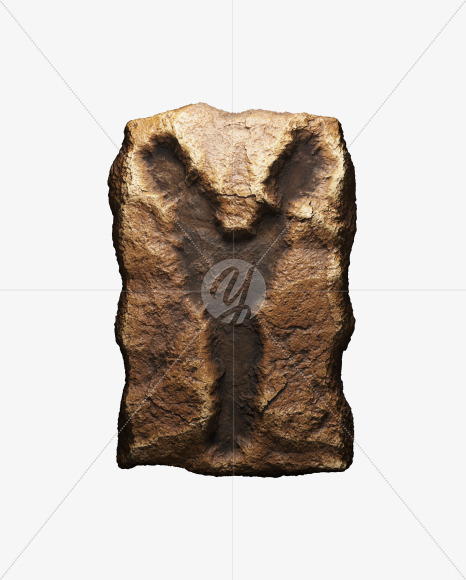 Y