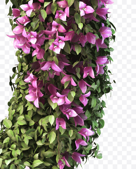 O uppercase from Bougainvillea alphabet on Yellow Images Creative Fonts - S51812