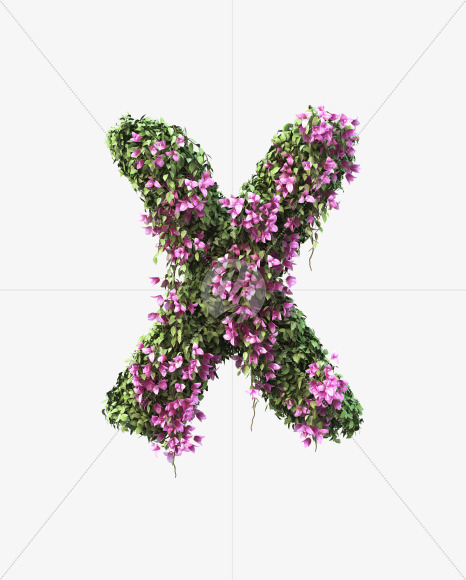 X uppercase from Bougainvillea alphabet on Yellow Images Creative Fonts - S51821