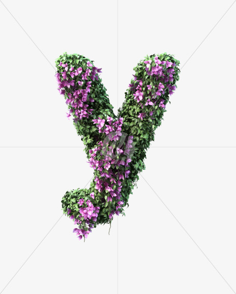 y lowecase from Bougainvillea alphabet on Yellow Images Creative Fonts - S51808