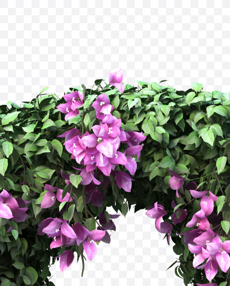 n lowecase from Bougainvillea alphabet on Yellow Images Creative Fonts - S51797