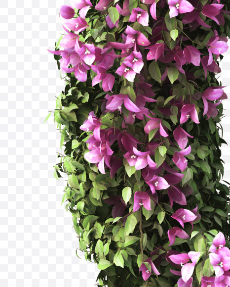 G uppercase from Bougainvillea alphabet on Yellow Images Creative Fonts - S51778