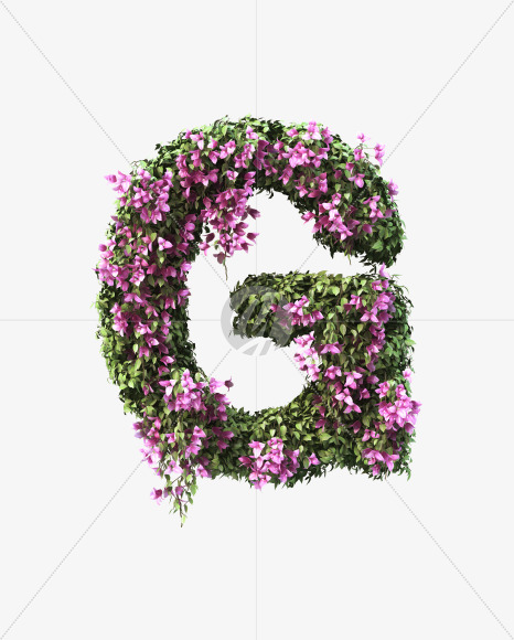 G uppercase from Bougainvillea alphabet on Yellow Images Creative Fonts - S51778