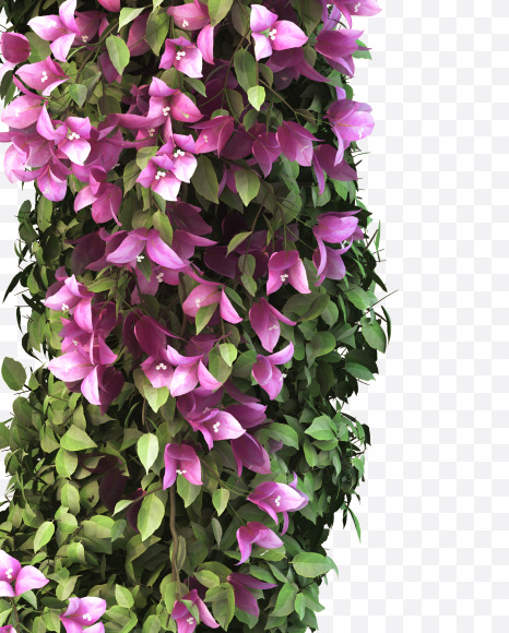 D uppercase from Bougainvillea alphabet on Yellow Images Creative Fonts - S51775