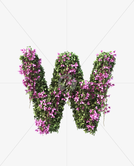 W uppercase from Bougainvillea alphabet on Yellow Images Creative Fonts - S51820