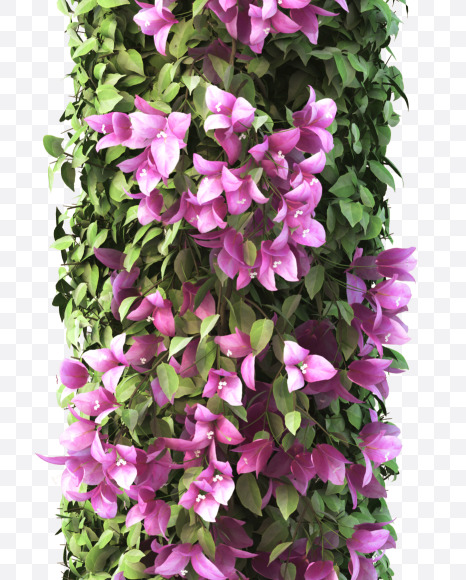 I uppercase from Bougainvillea alphabet on Yellow Images Creative Fonts - S51780