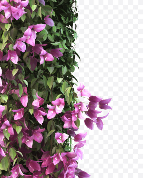 1 from Bougainvillea alphabet on Yellow Images Creative Fonts - S51763