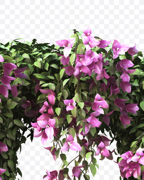 P uppercase from Bougainvillea alphabet on Yellow Images Creative Fonts - S51813