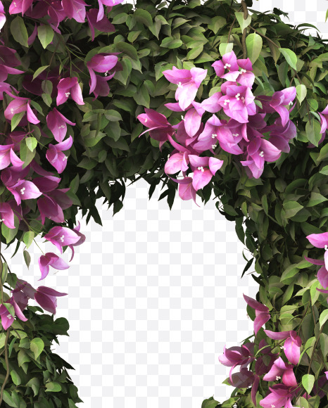 5 from Bougainvillea alphabet on Yellow Images Creative Fonts - S51767