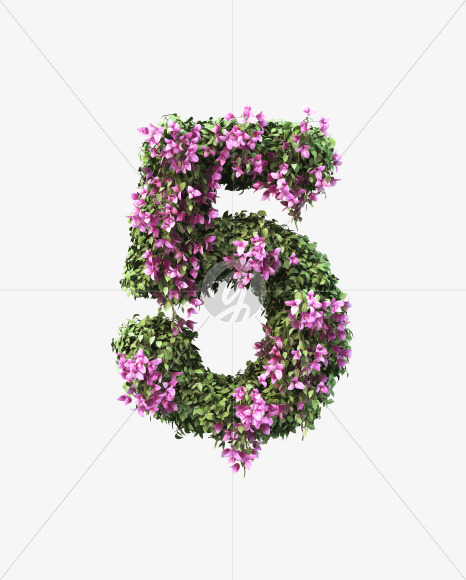 5 from Bougainvillea alphabet on Yellow Images Creative Fonts - S51767