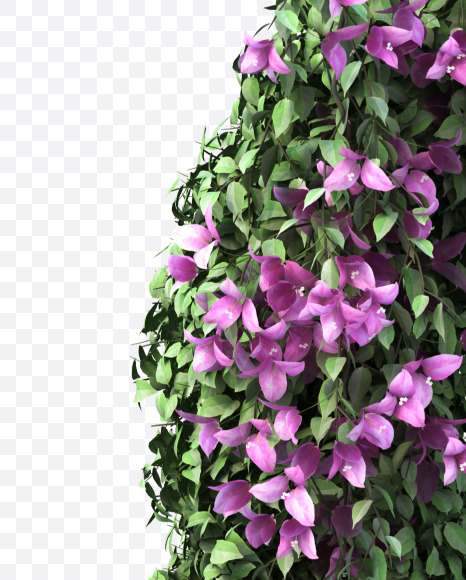 d lowecase from Bougainvillea alphabet on Yellow Images Creative Fonts - S51787