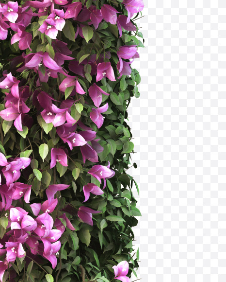 N uppercase from Bougainvillea alphabet on Yellow Images Creative Fonts - S51811
